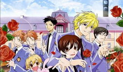 动漫学校,探索动漫学校的魅力与未来